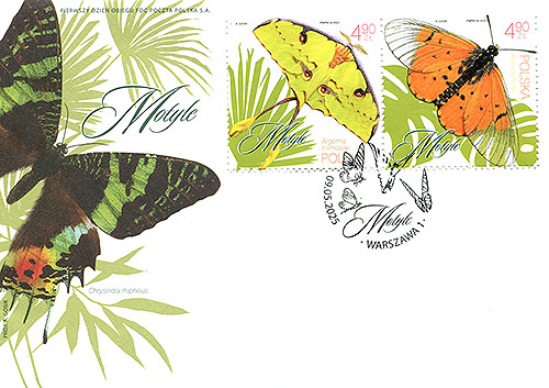 FDC01