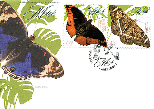 FDC02