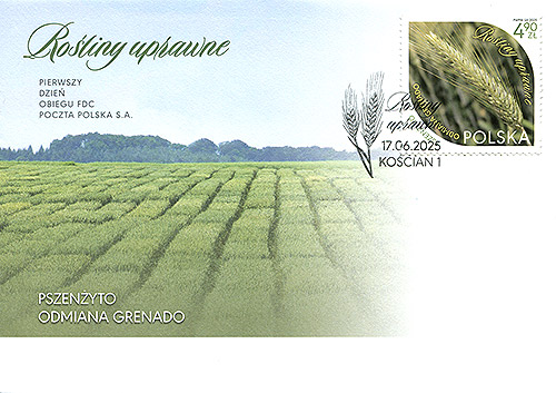 FDC01