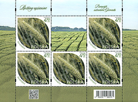 FS01