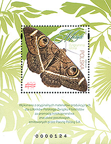 ND02