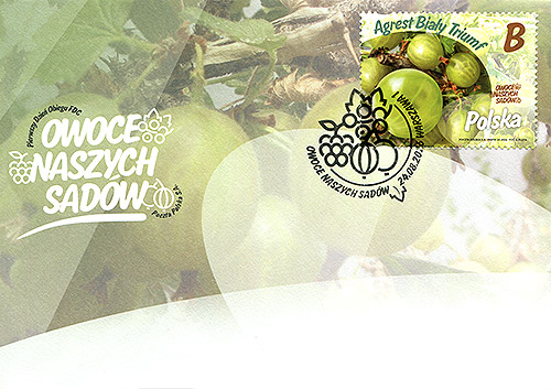 FDC03